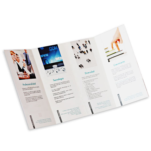 folleto de MSL Formación